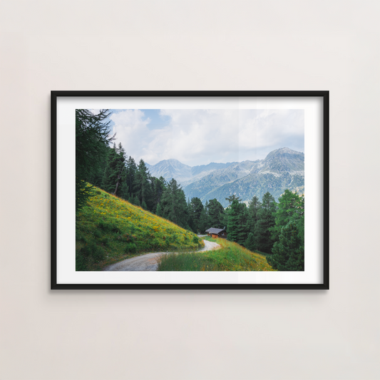 Alpine Meadow