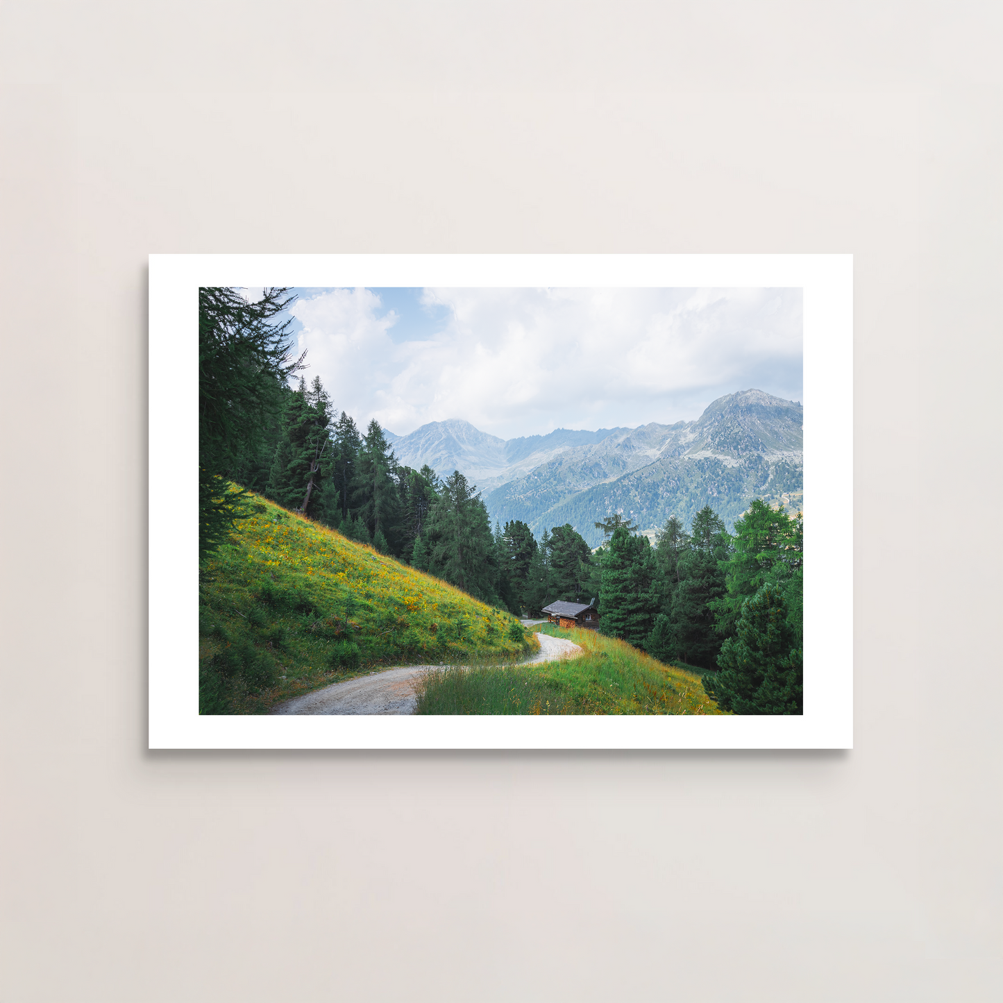 Alpine Meadow II