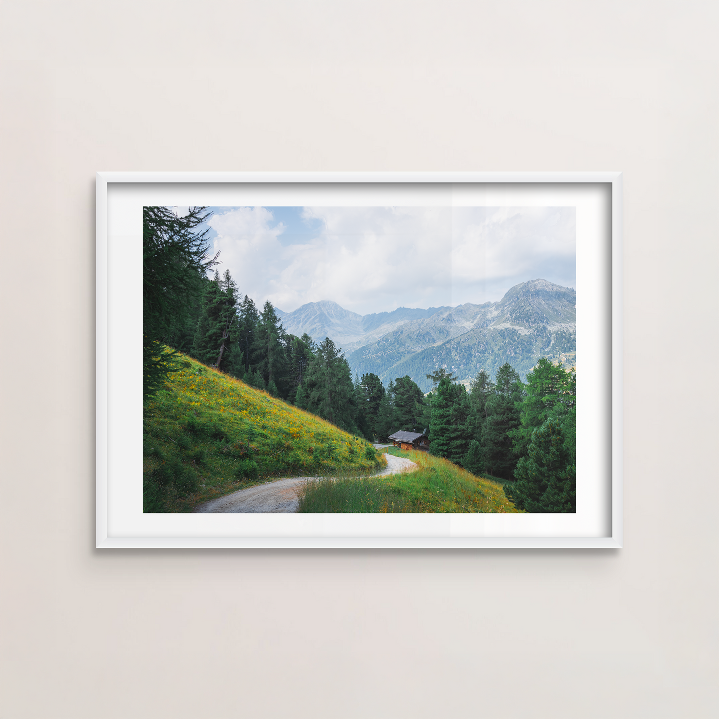 Alpine Meadow II