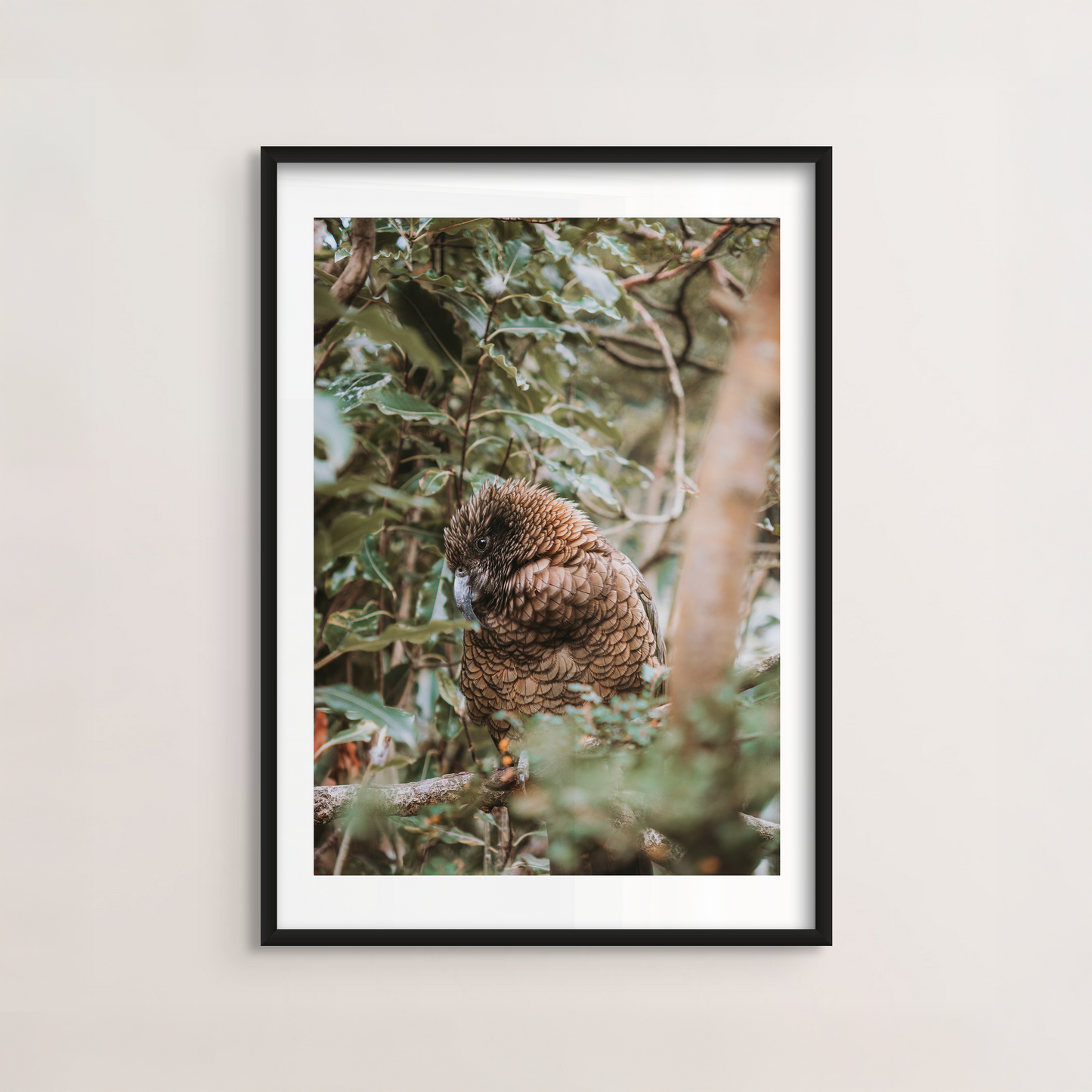 Kea
