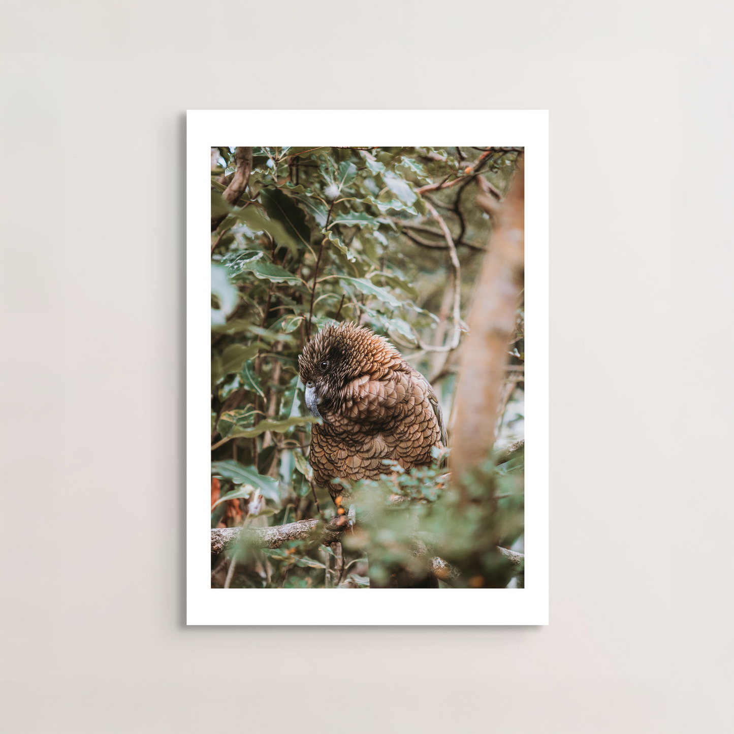 Kea
