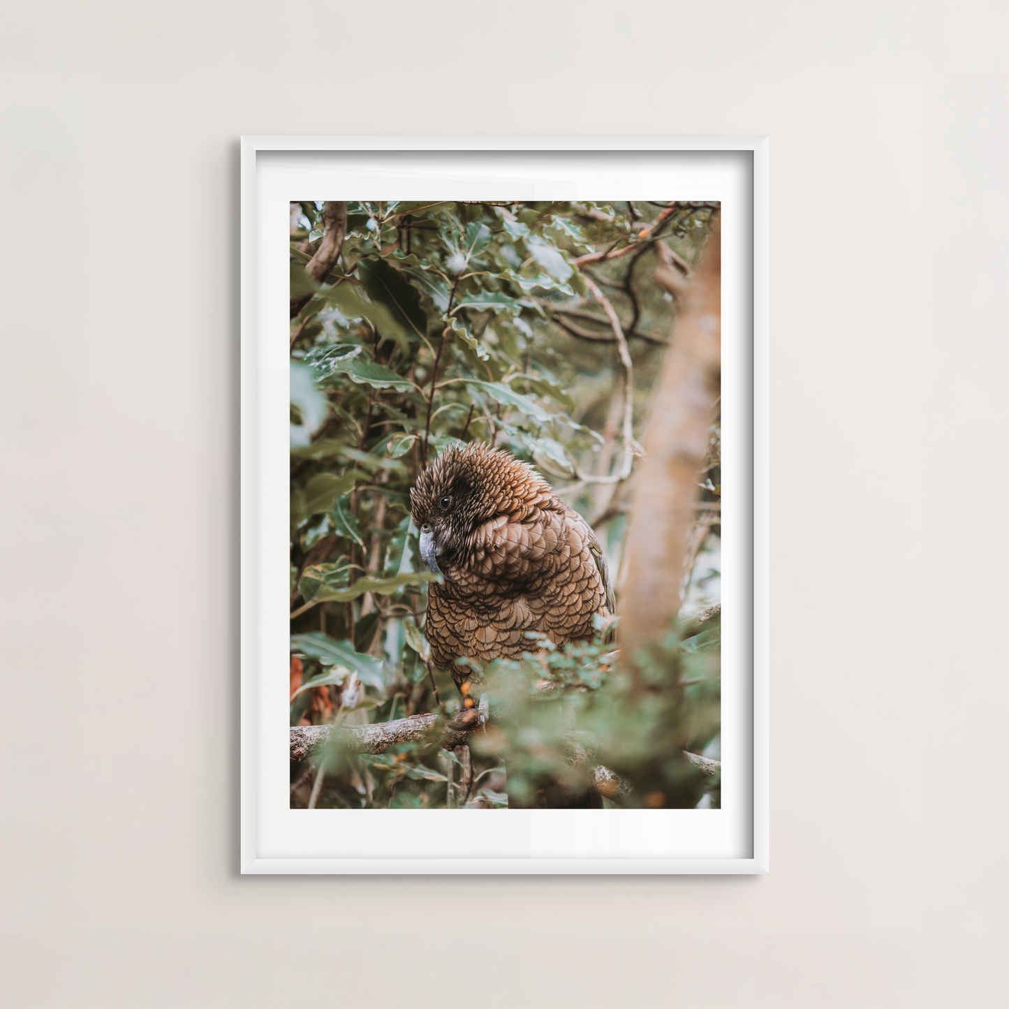 Kea