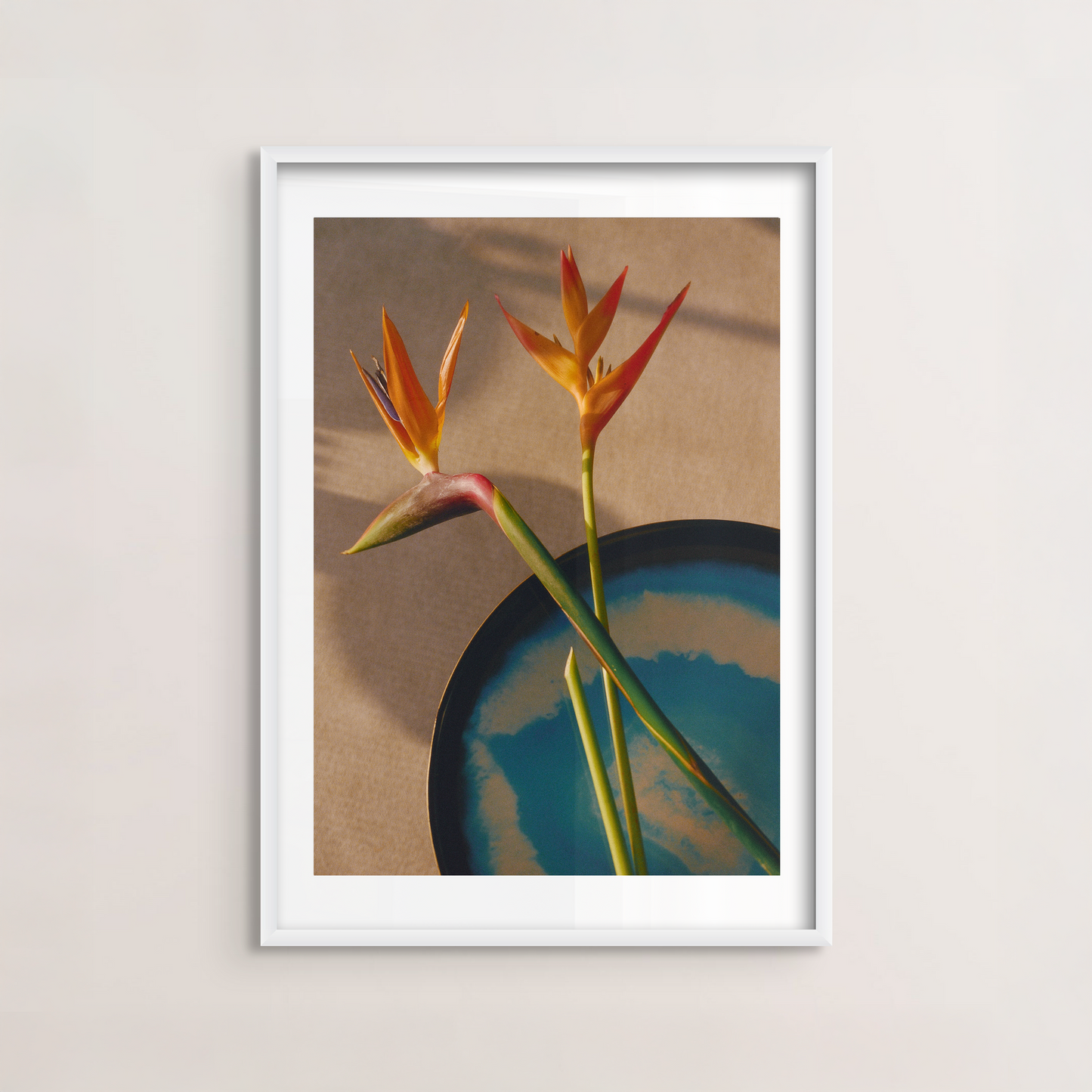 Bird of Paradise II