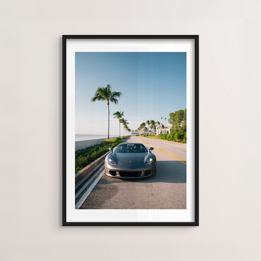 Coastal Carrera