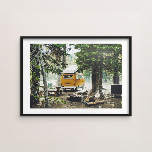 Retreat to the Trees