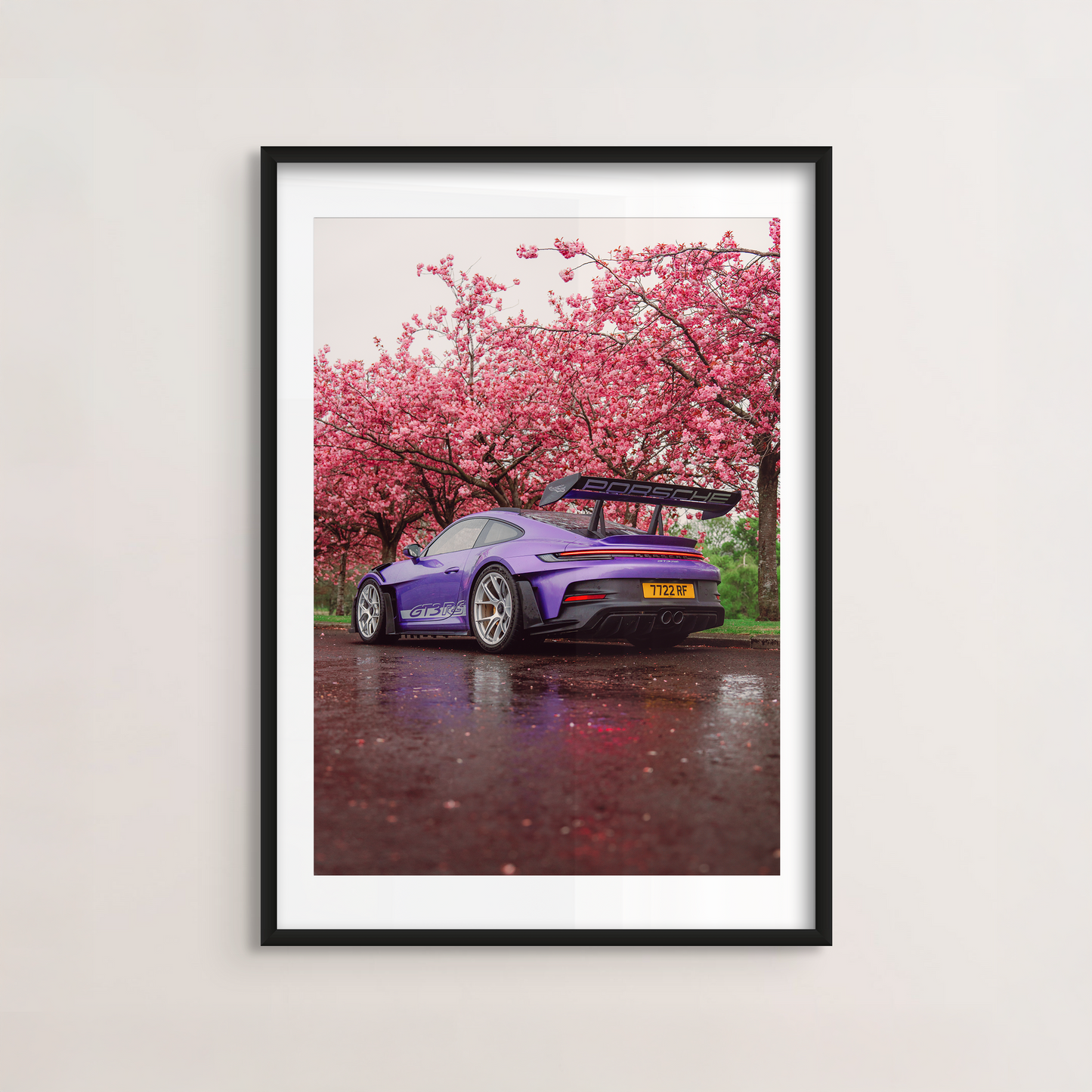 Cherry Blossom II
