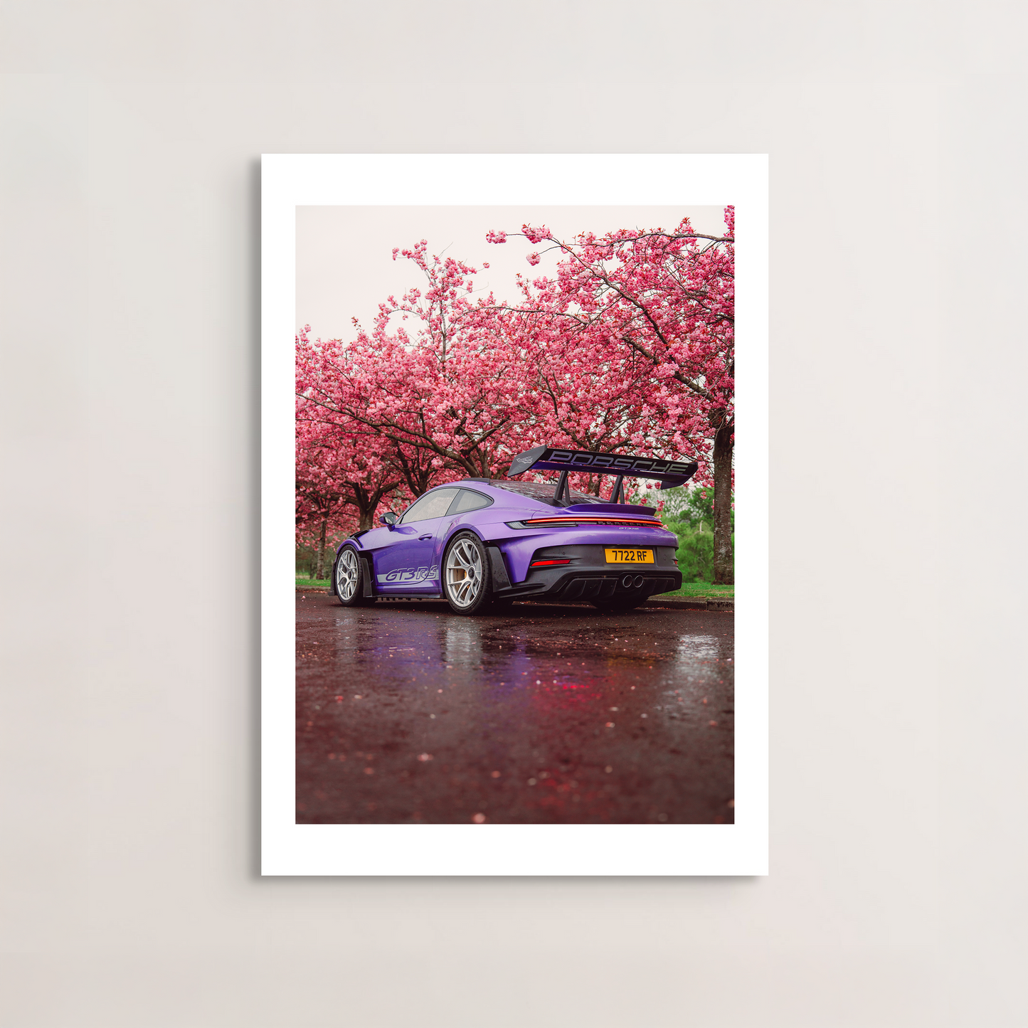 Cherry Blossom II