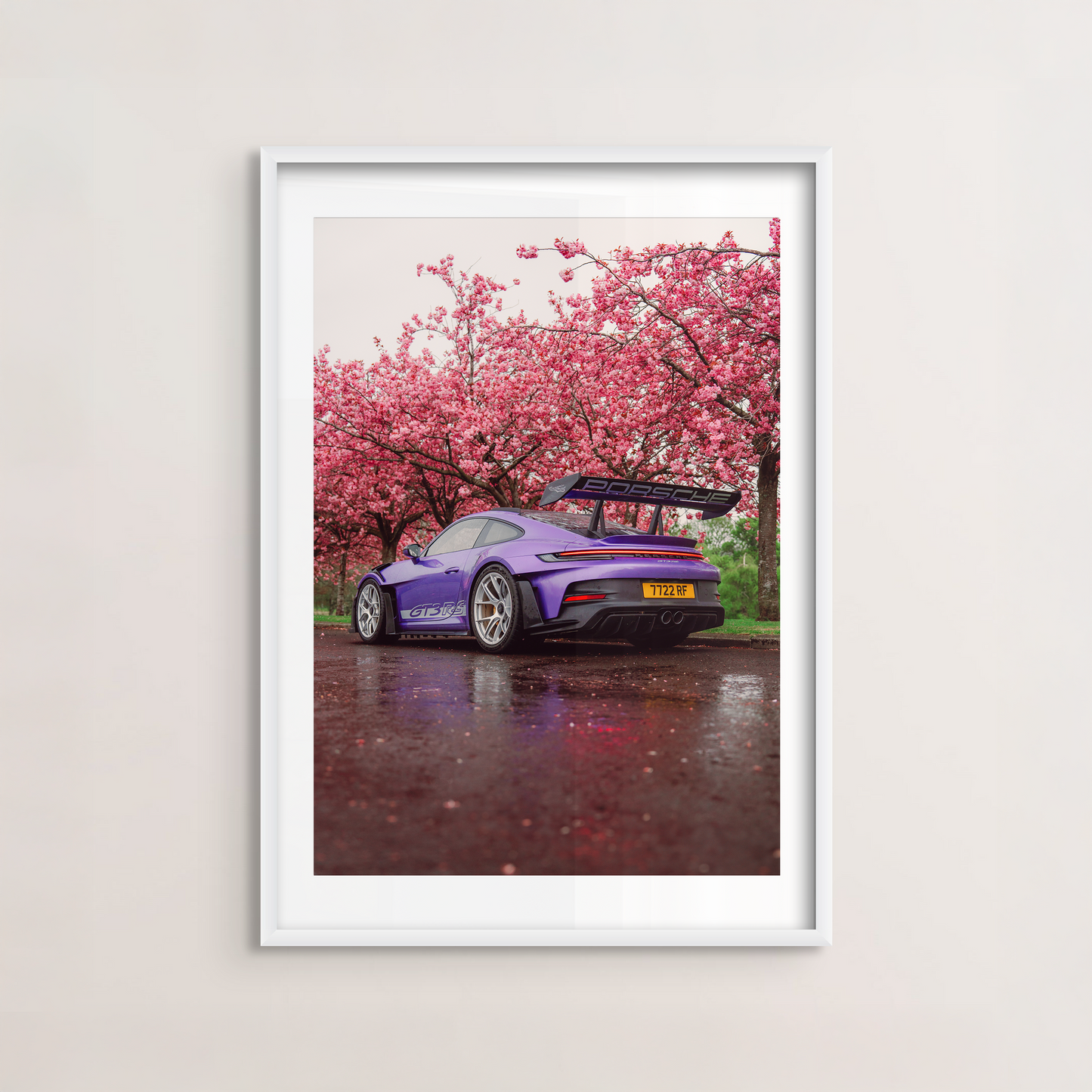 Cherry Blossom II