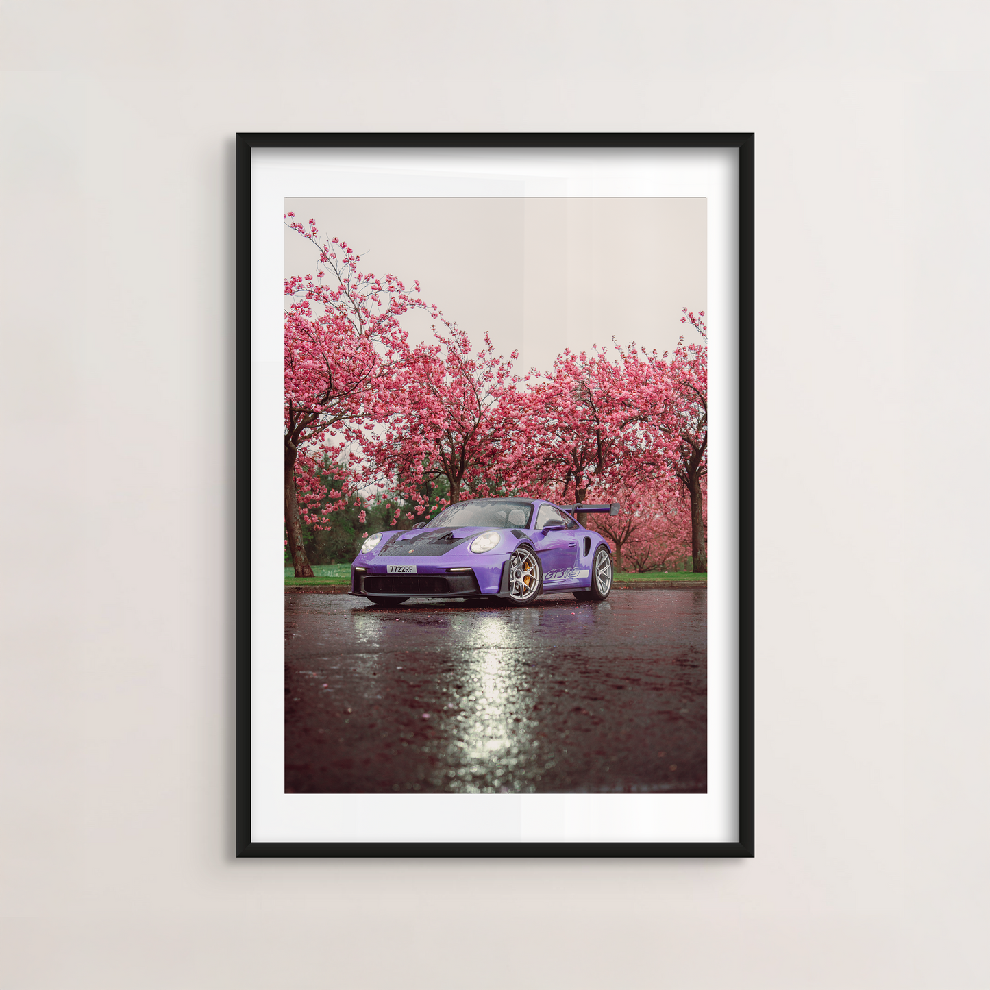 Cherry Blossom I