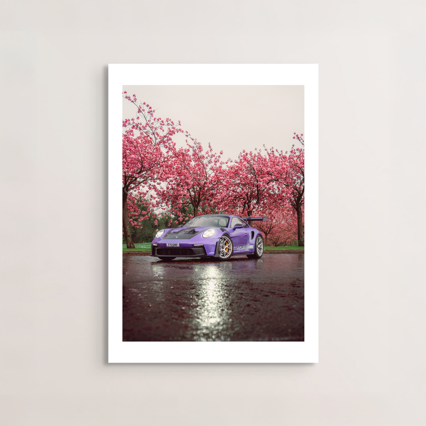 Cherry Blossom I