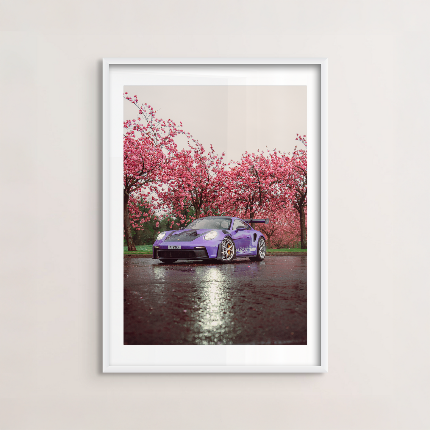 Cherry Blossom I