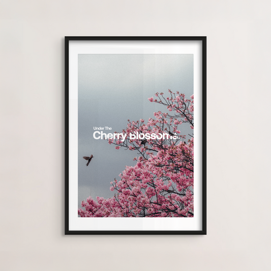 Cherry Blossoms Poster