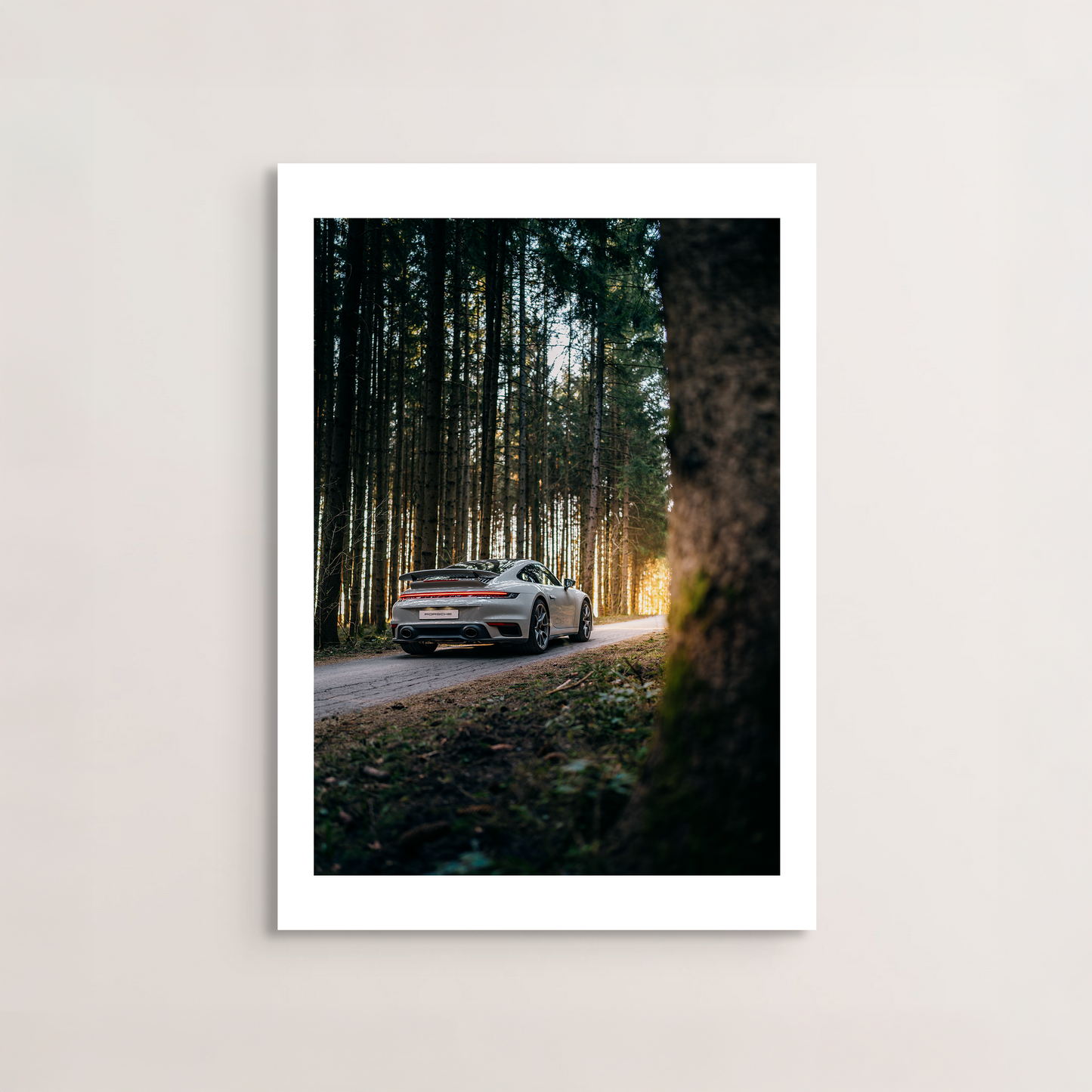 Into the Woods