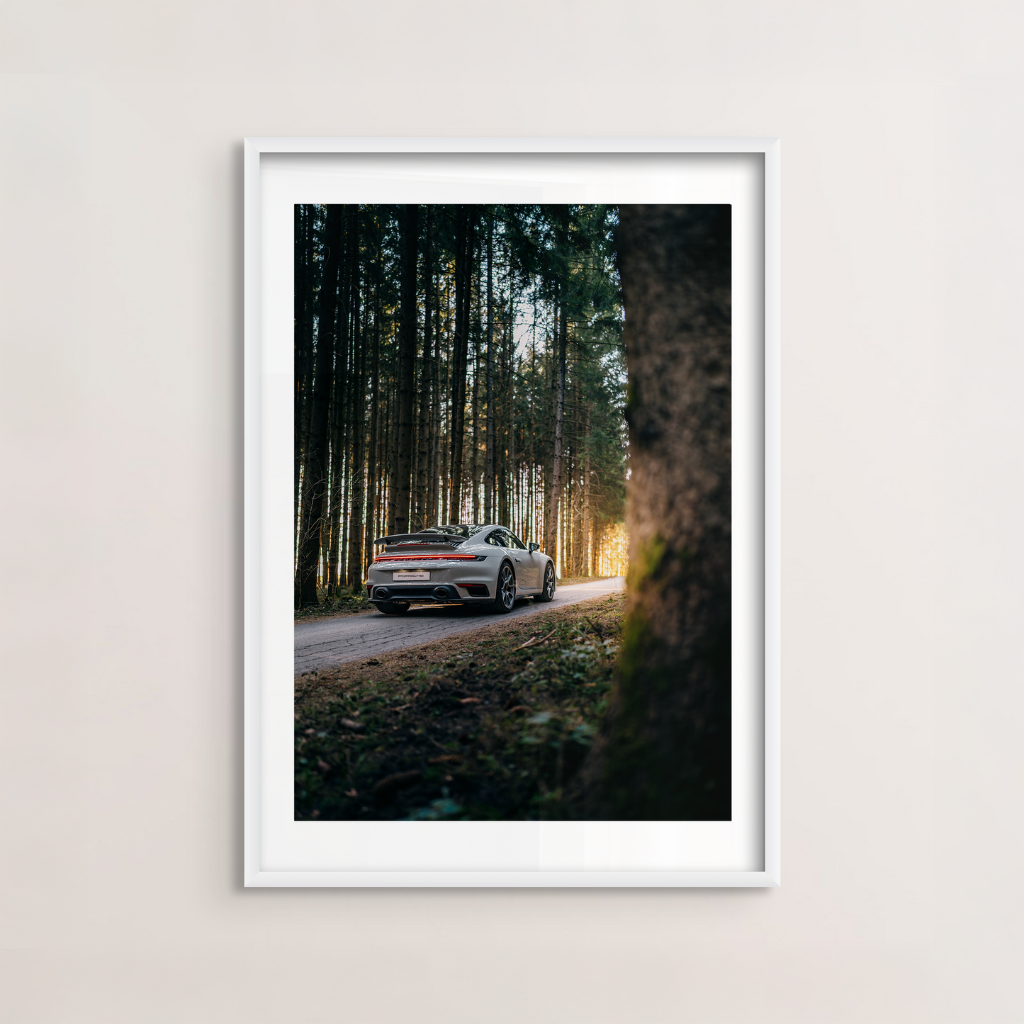 Into the Woods