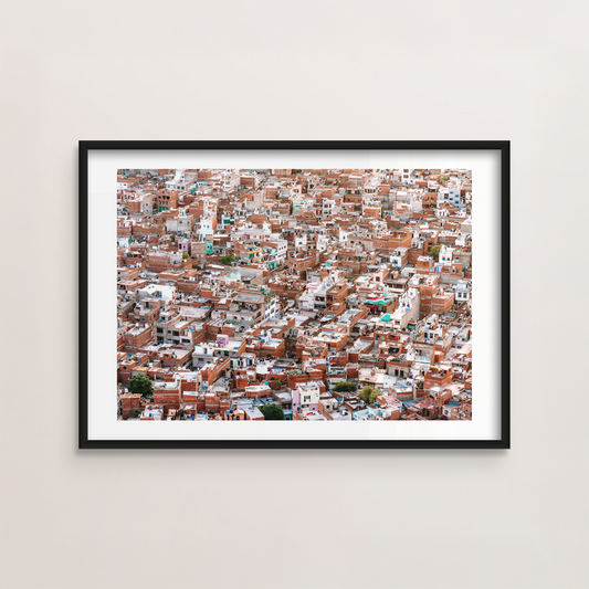 Jodhpur Rooftops