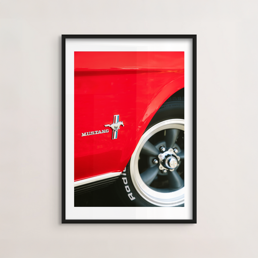 Mustang