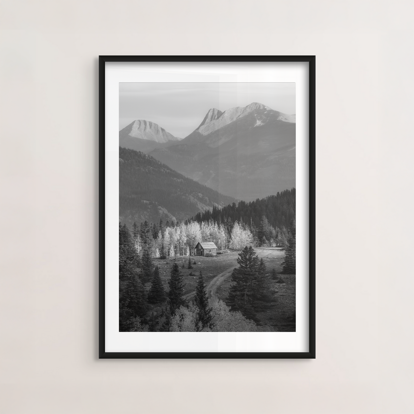 Colorado Cabin