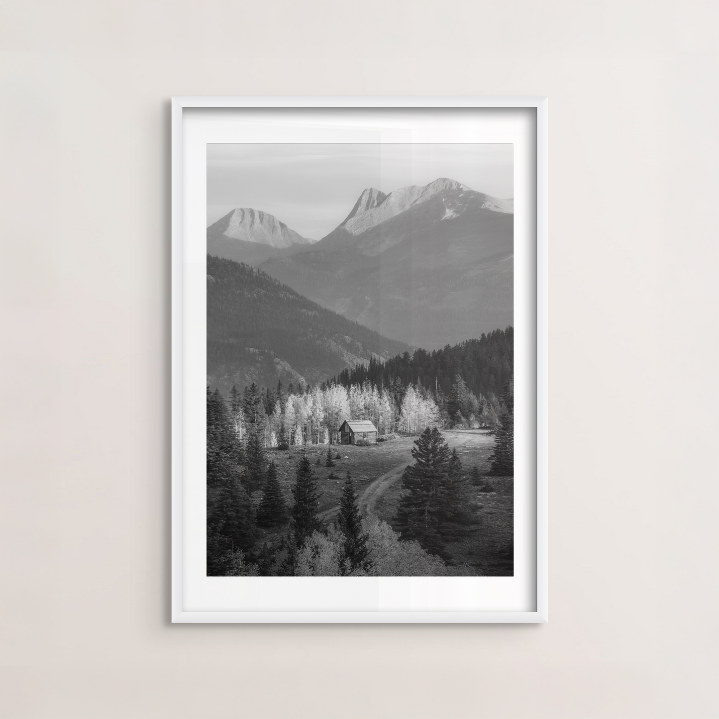 Colorado Cabin