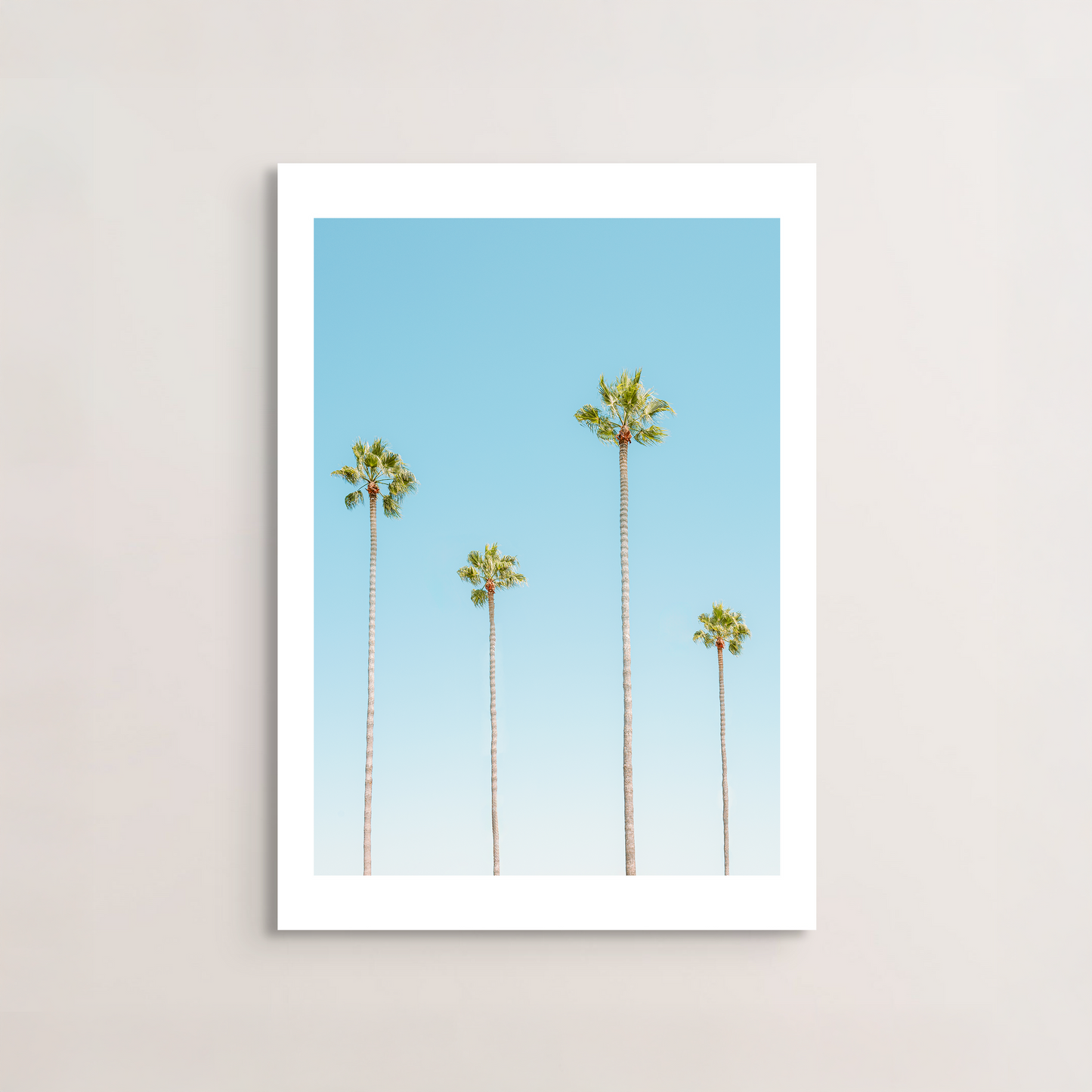 Four Palms