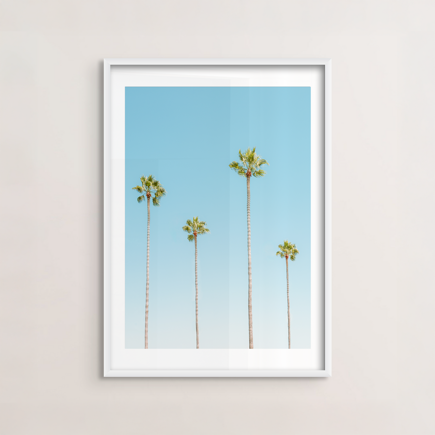 Four Palms