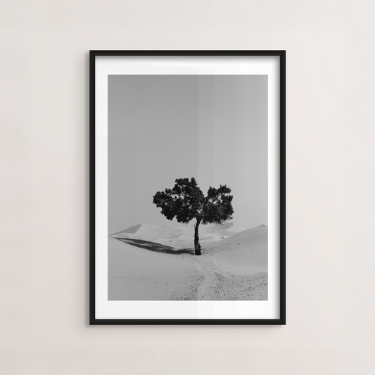 Lonely Tree