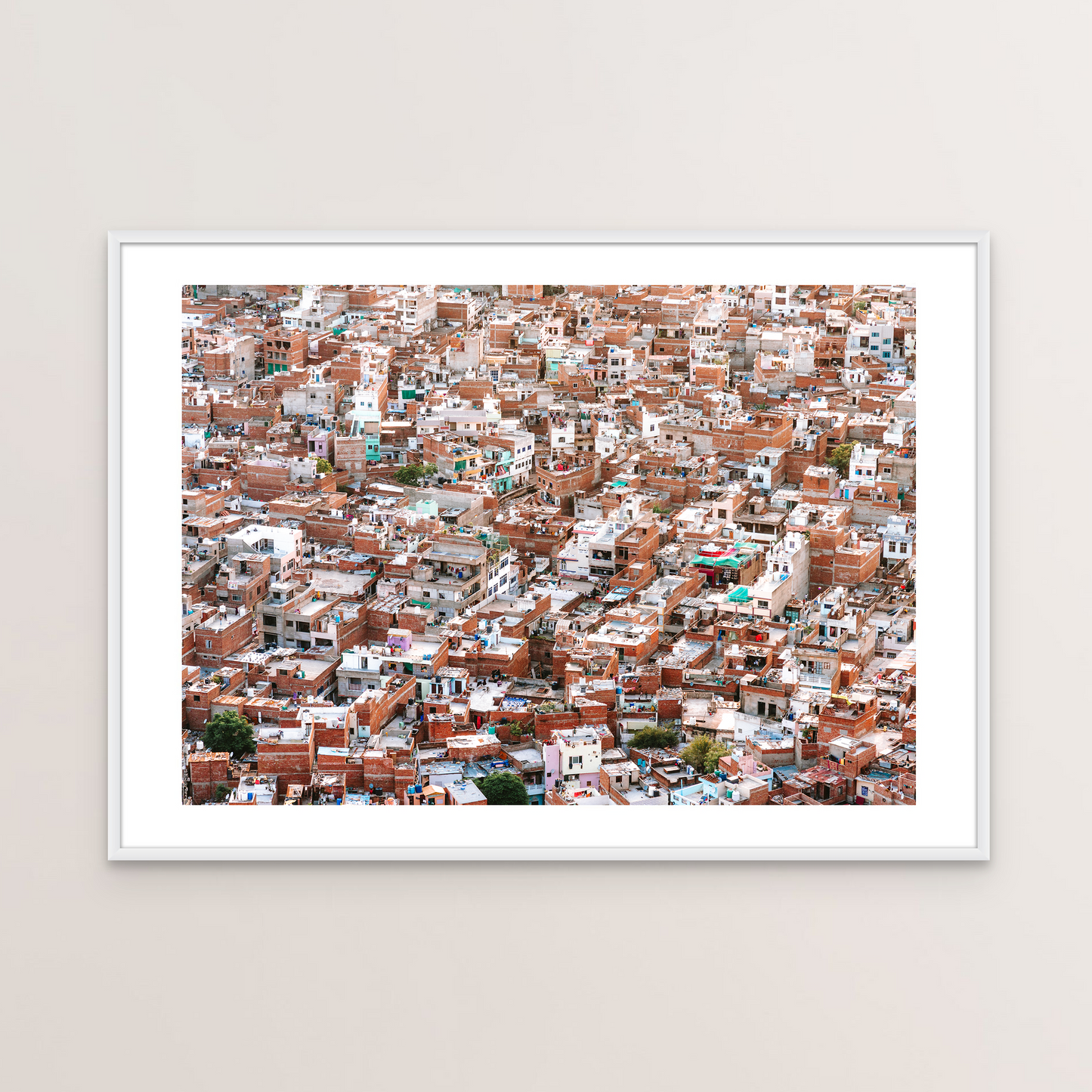 Jodhpur Rooftops