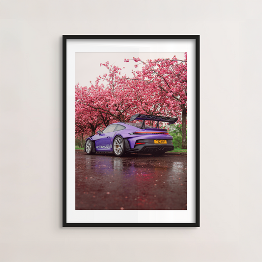 Cherry Blossom II