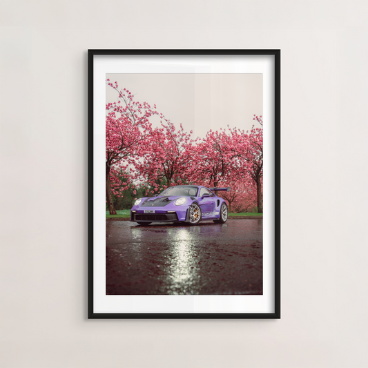 Cherry Blossom I