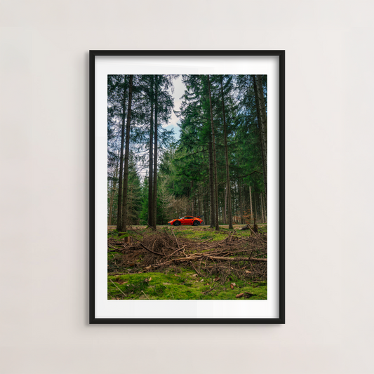 The Trees II