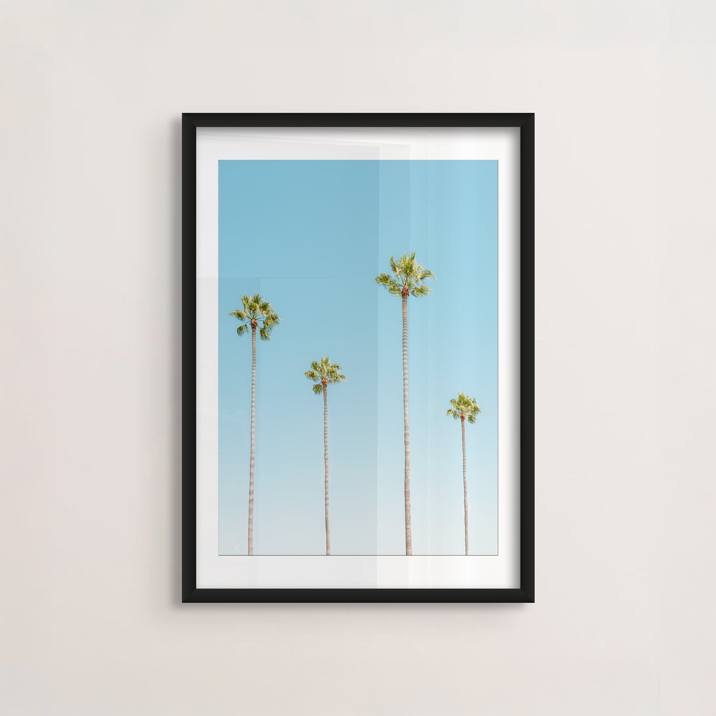 Four Palms