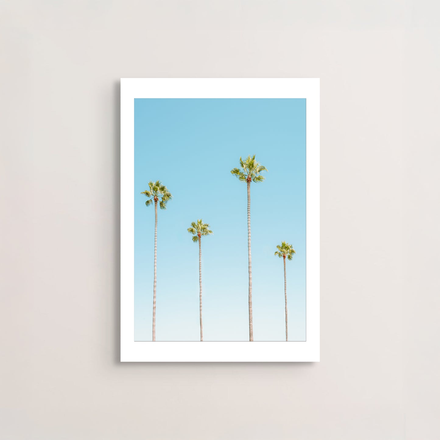 Four Palms