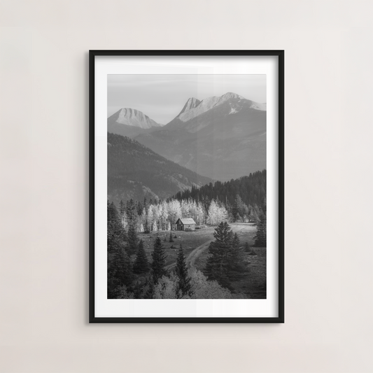 Colorado Cabin