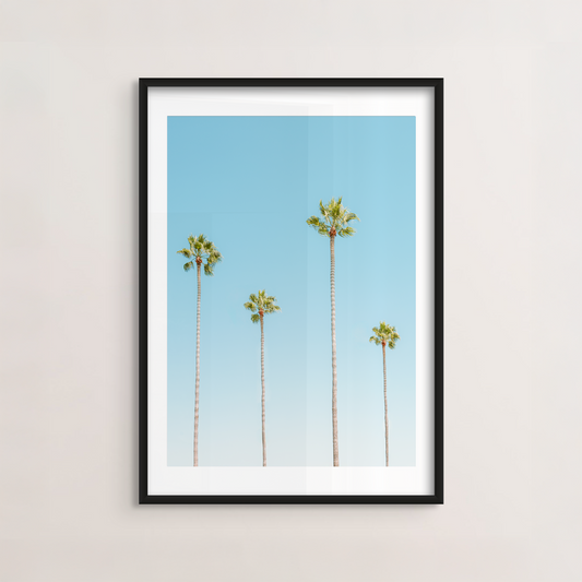 Four Palms