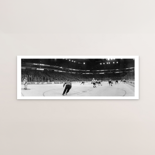 The National Hockey League I