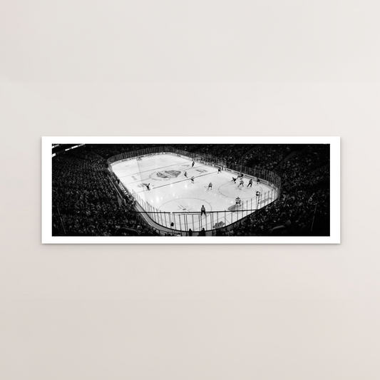 The National Hockey League II