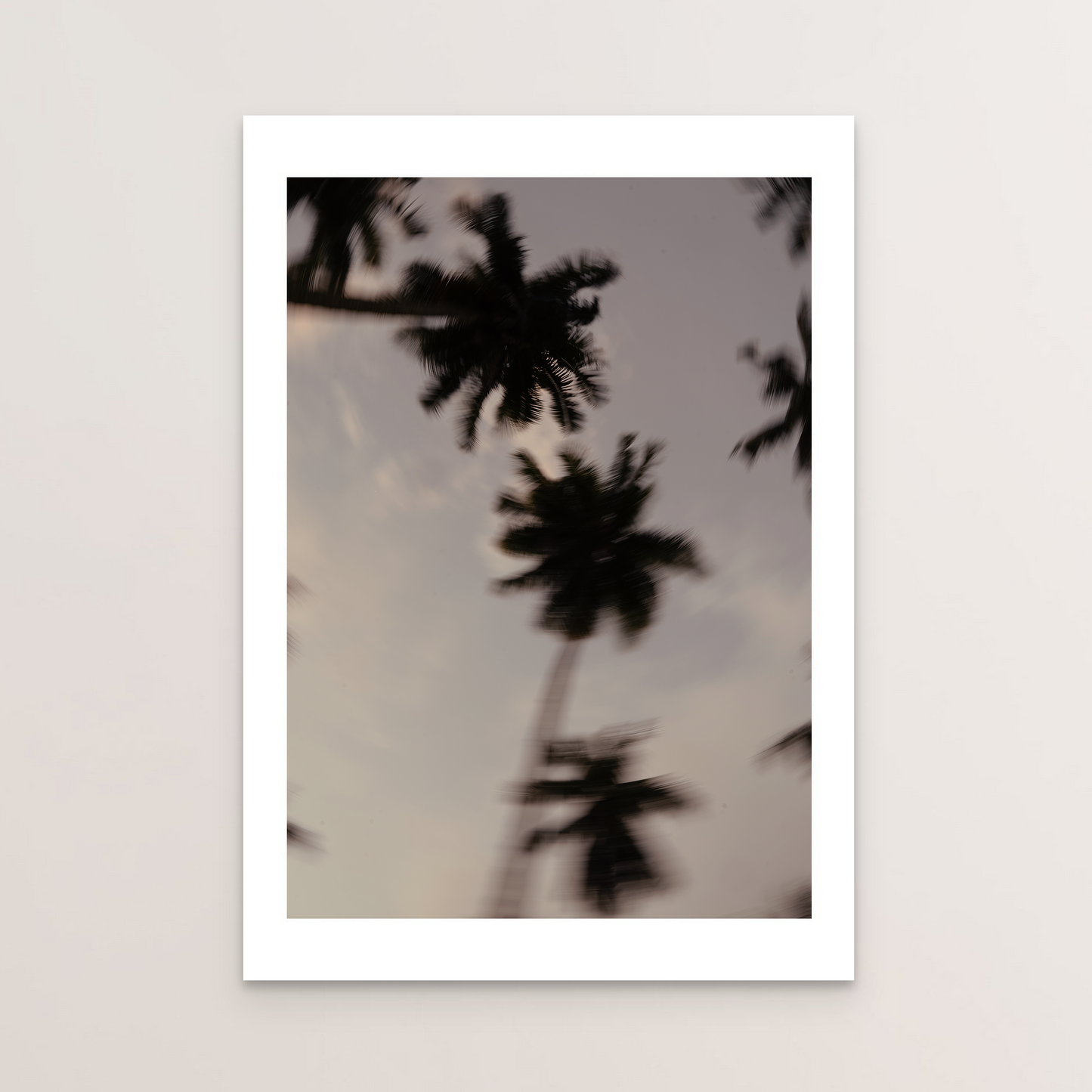 Palm