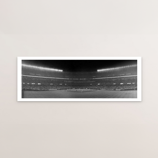 The New York Yankees Panorama I
